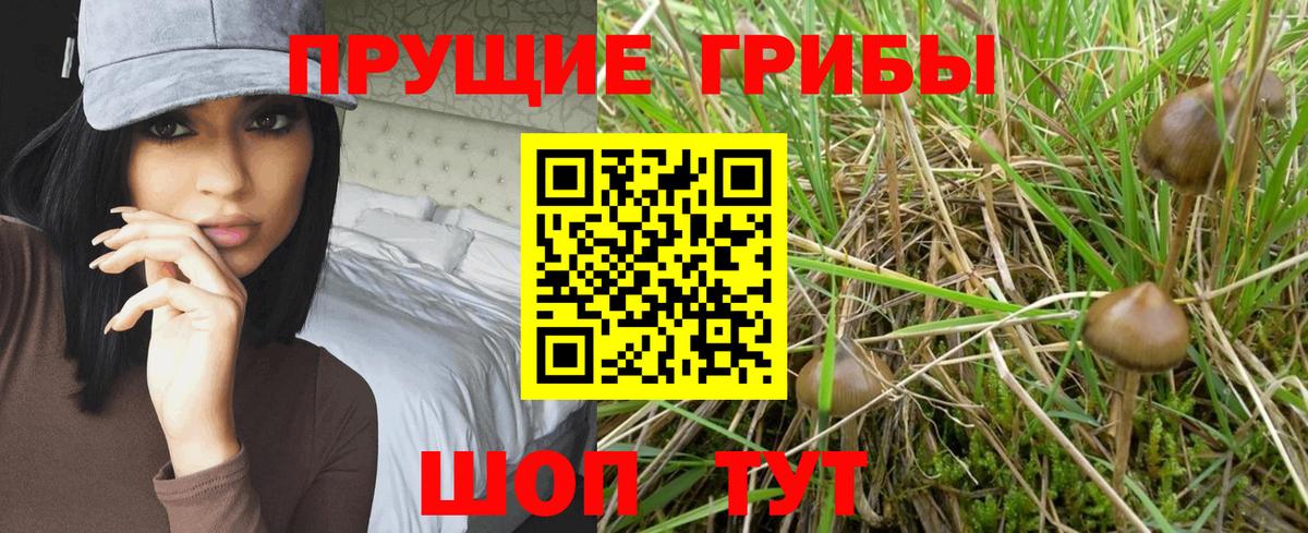 Псилоцибиновые грибы Psilocybine cubensis  Вход с VPN  Орск  Галлюциногенные грибы прущие грибы 