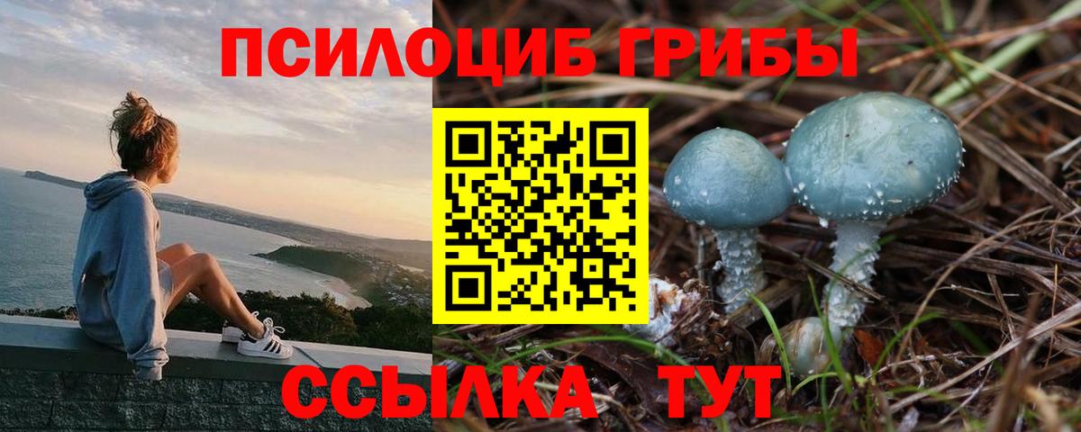 Галлюциногенные грибы прущие грибы Орск